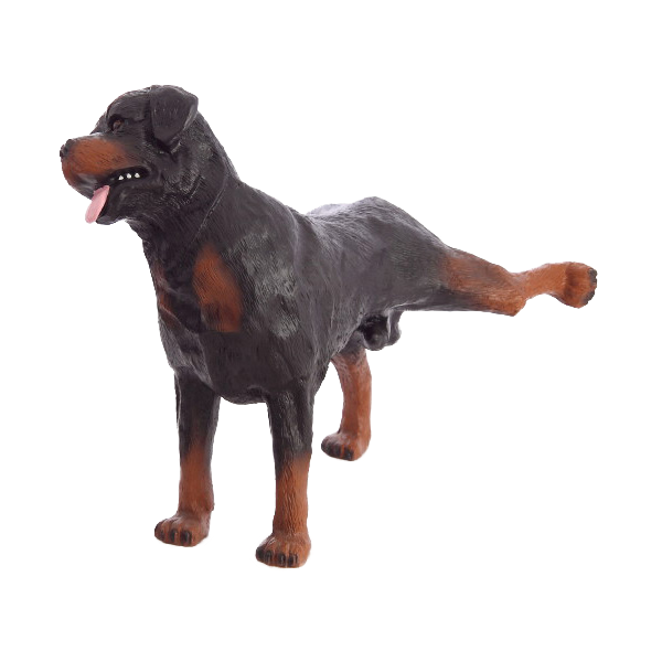 Rotweiler
