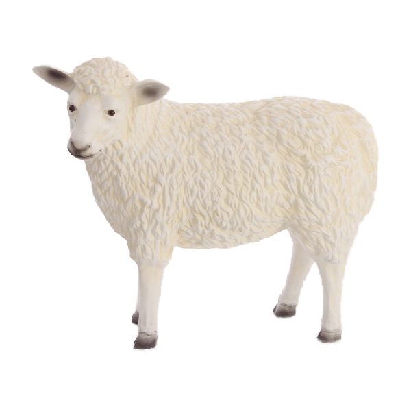 Schaf mit Kopf nach links