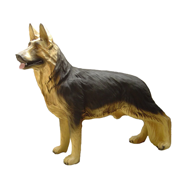 Pies stojący- wilczur