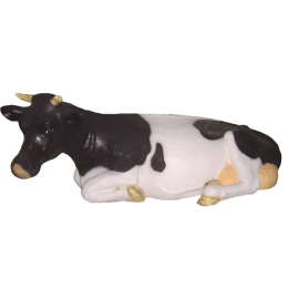 Cow – laying