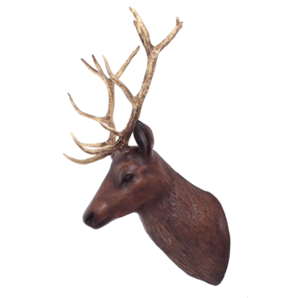 Głowa jelenia