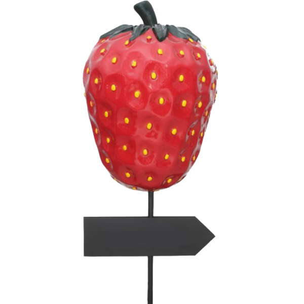 Erdbeere mit Rohr und Pfeil