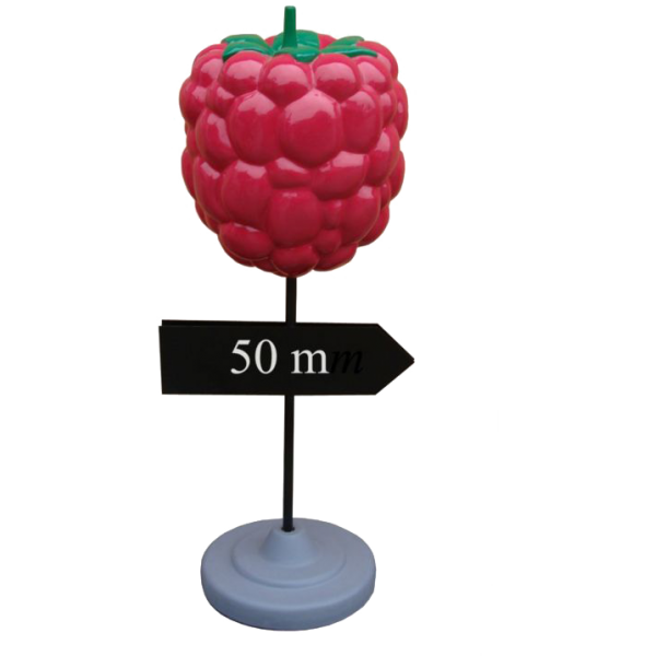 Malina z rurą i strzałką