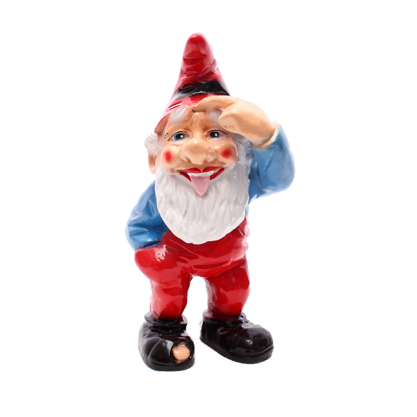 Gnome the fool
