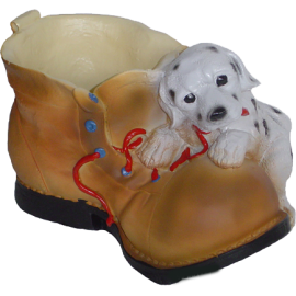 Dalmatian on the shoe