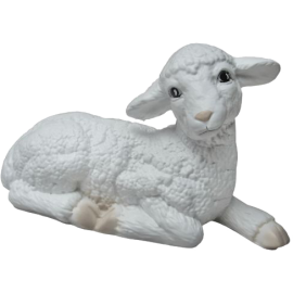 Sheep (laying)