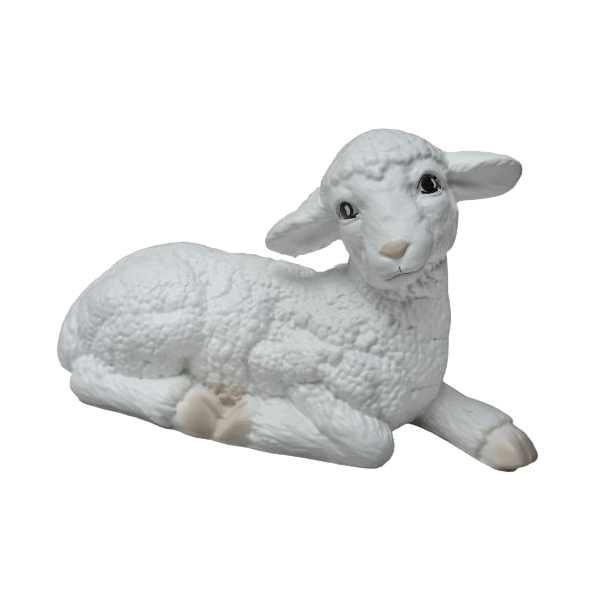 Schaf- liegende