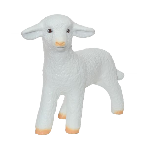Sheep (standing)