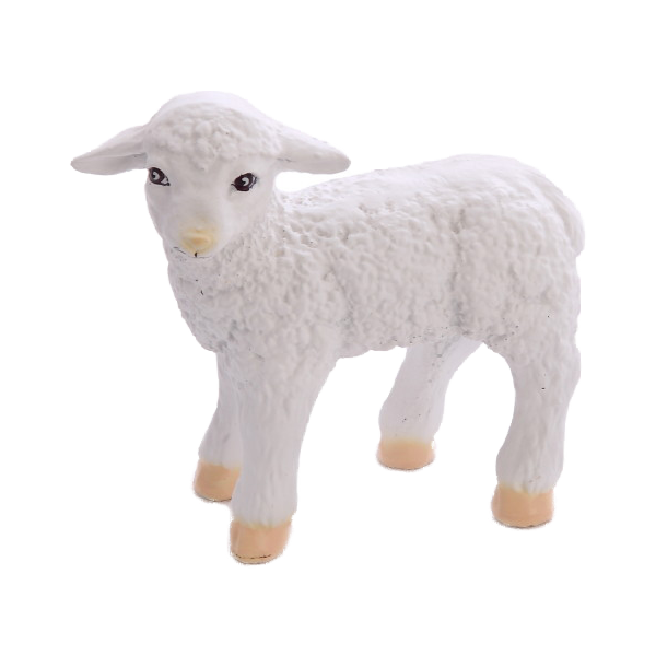 Sheep (standing)