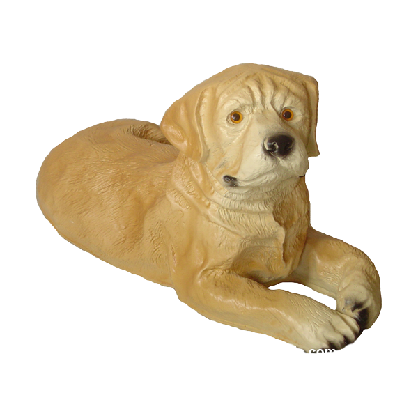 Labrador