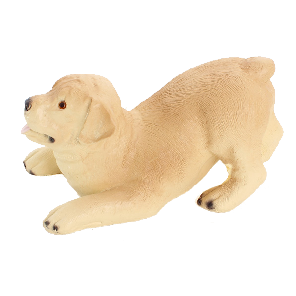 Labrador