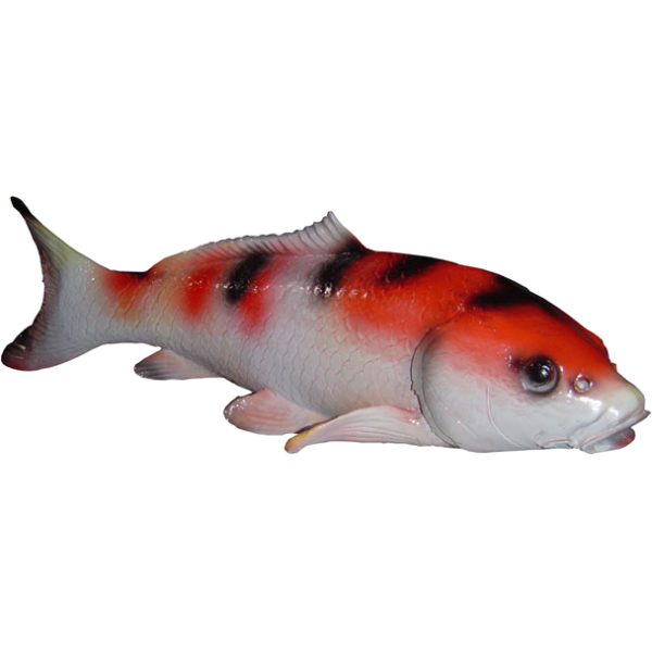 Karp mały