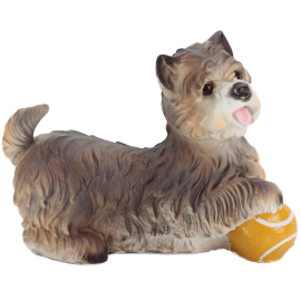 Dog with ball