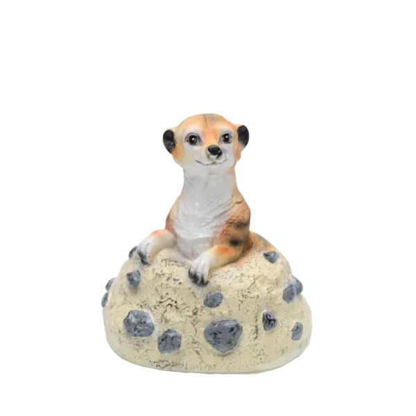 Meerkat in a mound