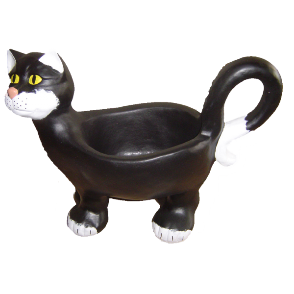 Cat with a bowl