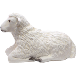 Liegende Schaf