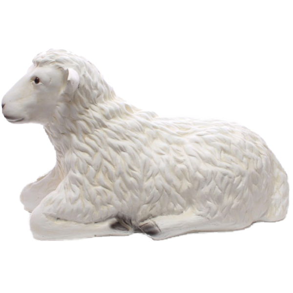 Liegende Schaf