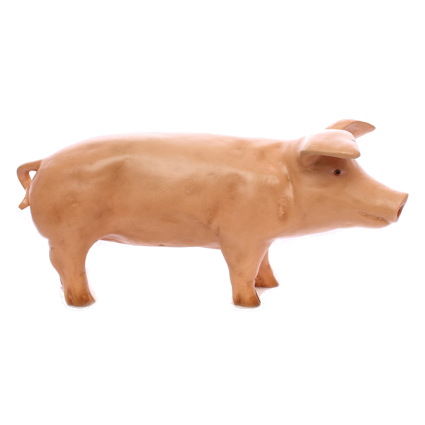Piglet (right sided)