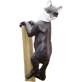 Cat (hanging)