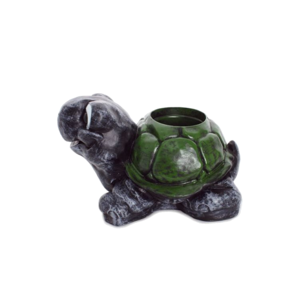 Tortoise plant pot