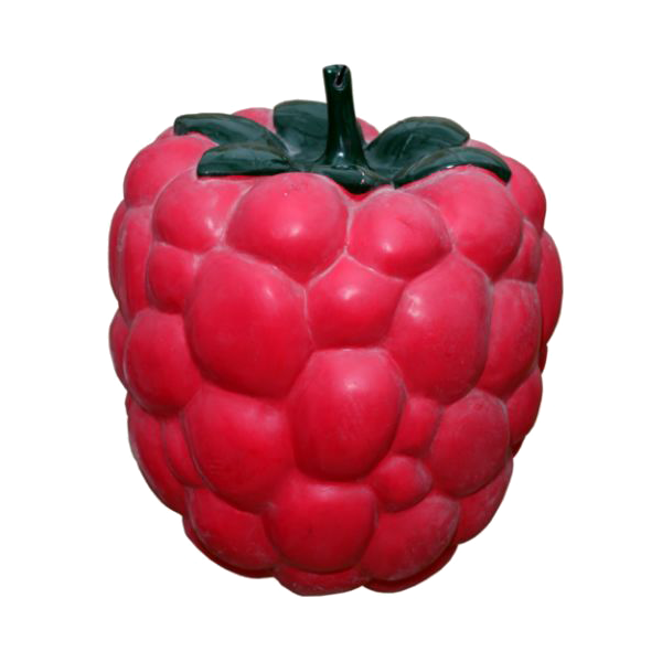 Raspberry to hang