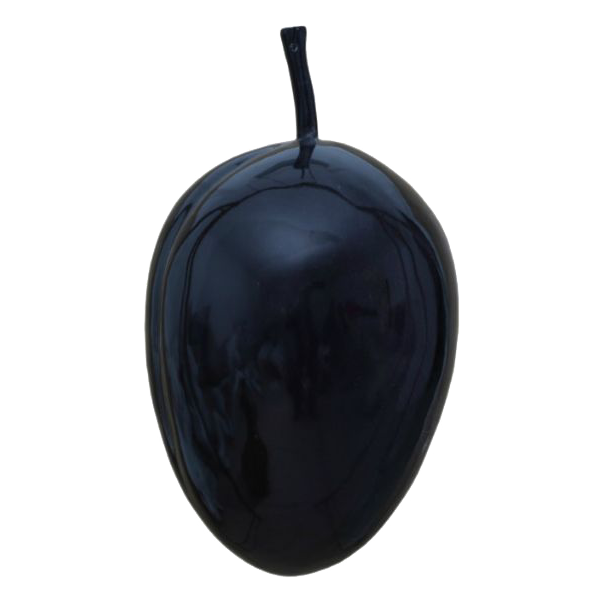 Śliwka mała wisząca