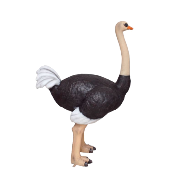 Ostrich