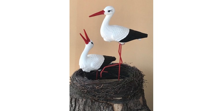 A pair of storks
